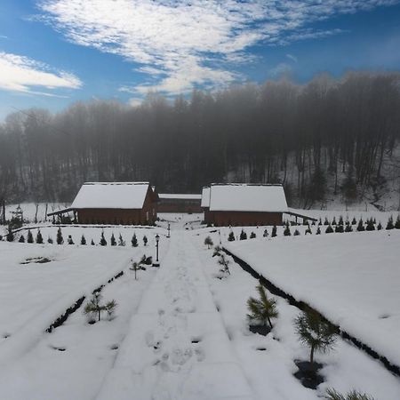 U Zrodel Strwiaza Villa Ustrzyki Dolne Exterior photo