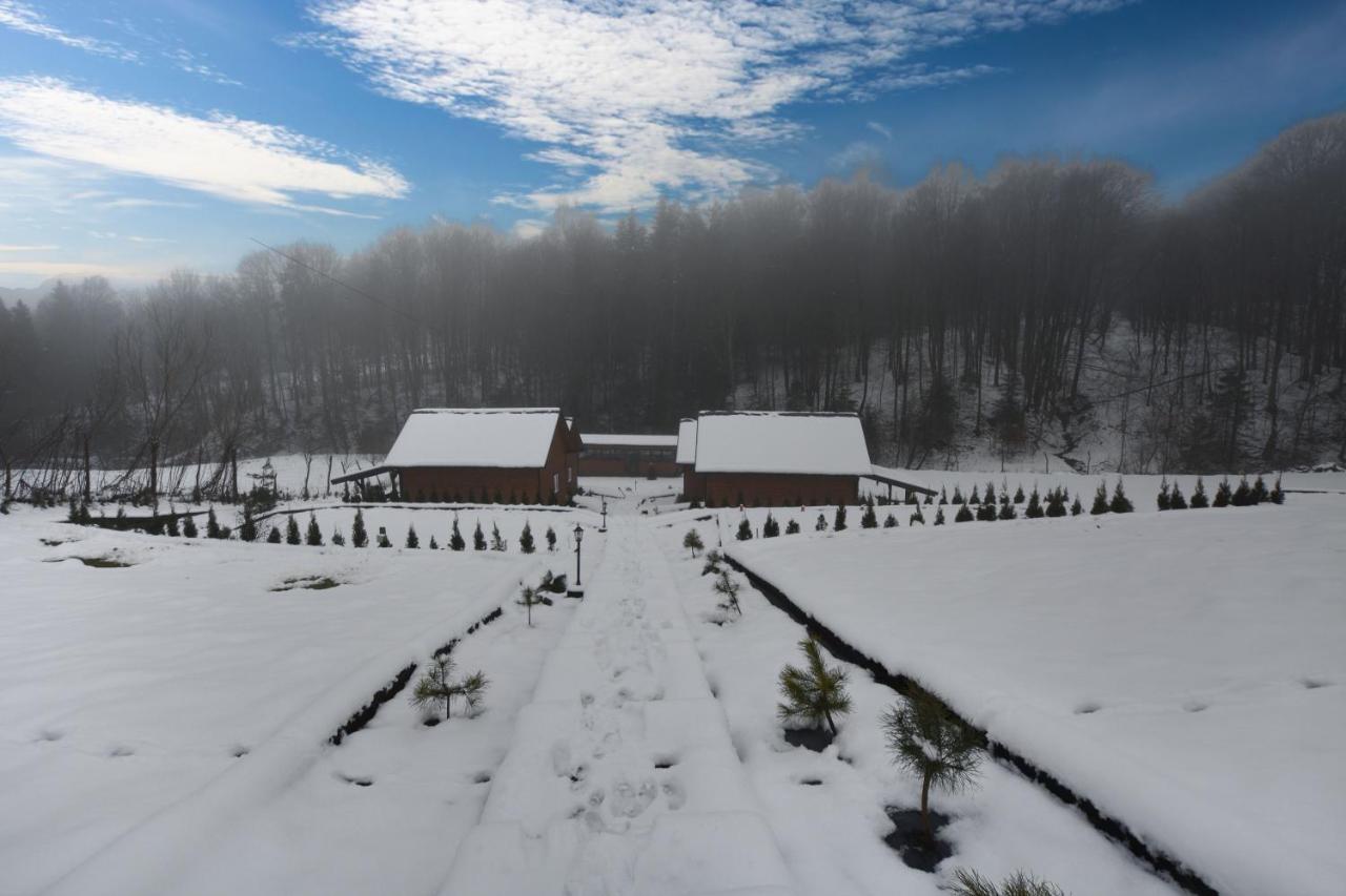 U Zrodel Strwiaza Villa Ustrzyki Dolne Exterior photo