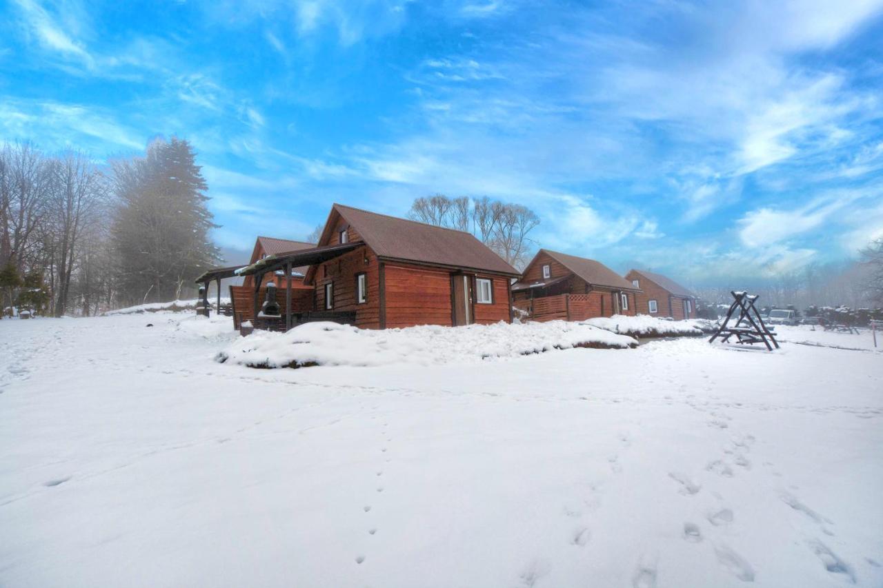 U Zrodel Strwiaza Villa Ustrzyki Dolne Exterior photo